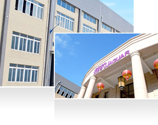 —10年耕耘，实力深厚